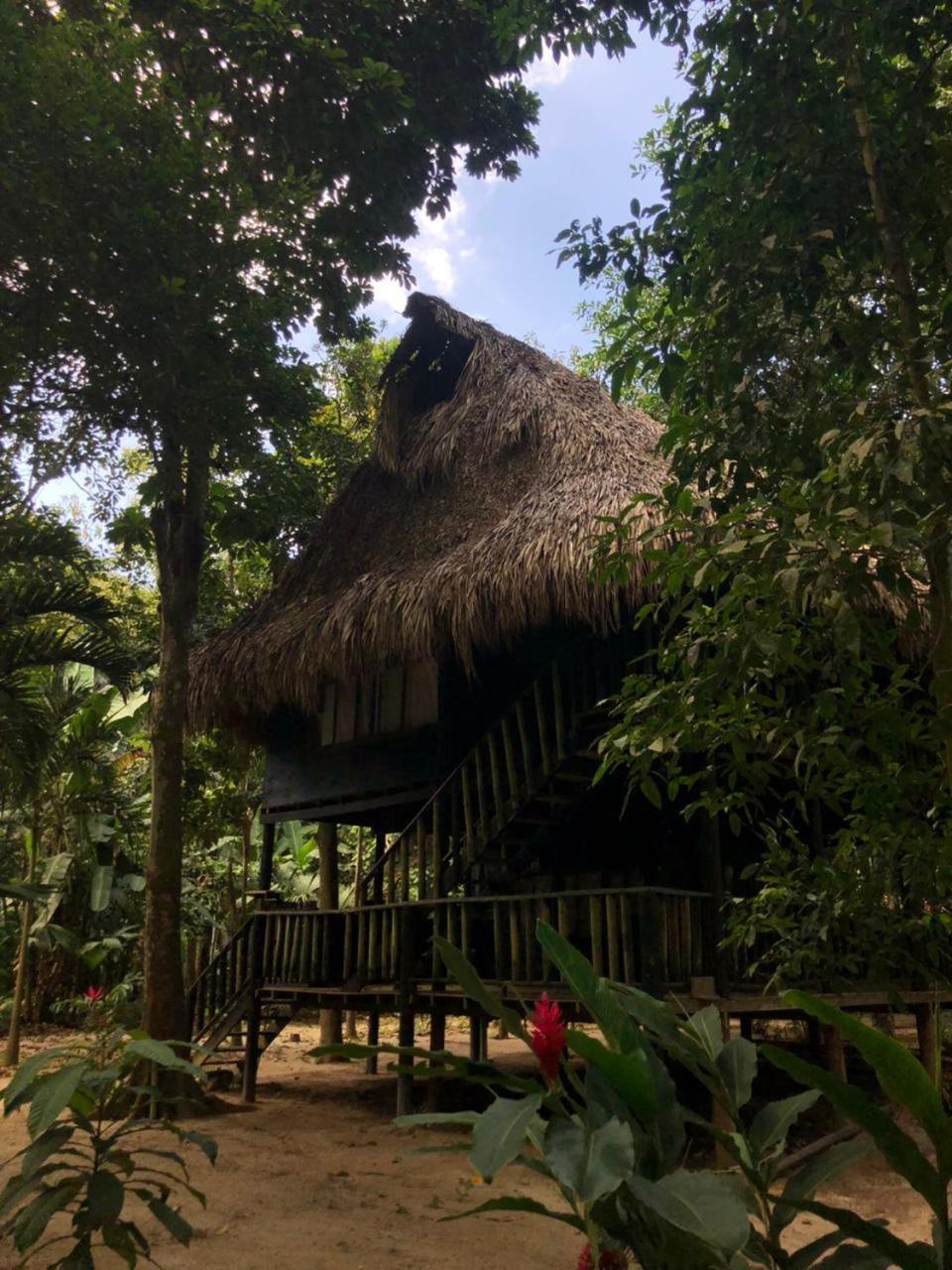 Taironaka Eco Hotel Don Diego Exteriör bild